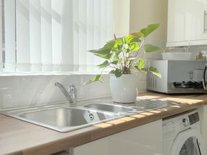 SYCAMORE MEWS- click for photo gallery